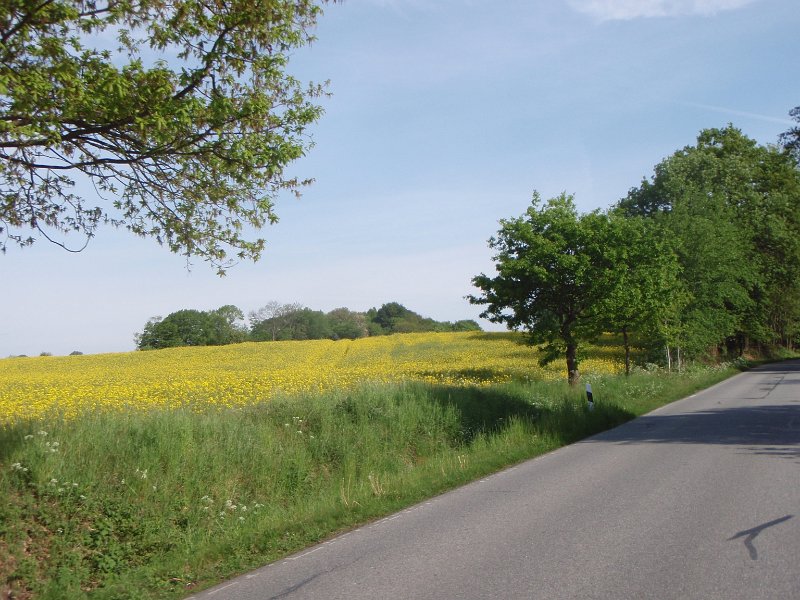 Bad Schwartau 091